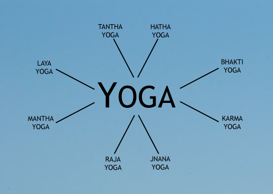 The many styles of Yoga